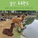 빼꼼이네 | 일산 쥬쥬랜드 동물원 아이와 가볼만한곳, 주말에 다녀온 내돈내산 후기