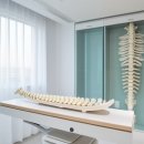 위례퍼스트정형외과의원 | 척추 디스크 손상의 원인과 예방을 위한 필수 정보