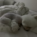 히어데어(HERE,THERE) 이미지