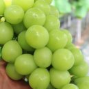 김천상회 이미지