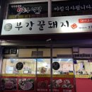 부강 꿀돼지 이미지