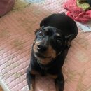 영도동물병원 이미지