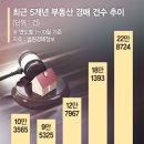 코라법률교육원 네이버블로그