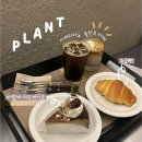 앞산 맛둘레길 바닥 | [대구] 대명동 카페, 앞산 카페 추천, 플란트