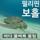 빠빠독 | 점 | 보홀 발리카삭 나팔링 스노쿨링 후 바다 물벼룩 물림 | 응급처치 병원 후기 필리핀 현지 약 추천