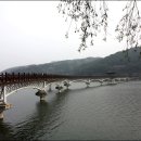 맛50년 헛제사밥 이미지