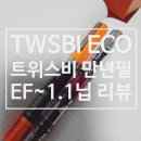 [ 만년필 ] 트위스비 에코 일반(TWISBI ECO) EF~1.1닙 굵기비교 후기