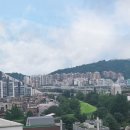 티앤블라썸