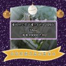 (주) 부동산뱅크 이미지