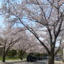 유진여관 이미지