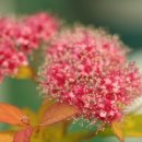 (주)보고유화 이미지