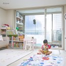 스텔라홈 이미지