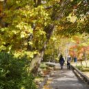 다정민박 이미지