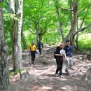 수성대민박 이미지