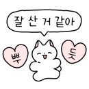 렌즈타운위드안경 이미지