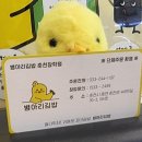 병아리김밥춘천장학점 이미지