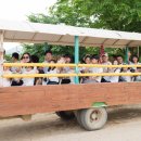 진주목장 이미지