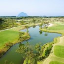 벨리스크린 이미지