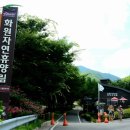 화원휴양림관리사무소 티스토리
