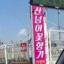 산넘어꽃향기 이미지