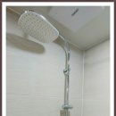 아젤리아 이미지