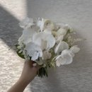르웨딩 김아린 플래너 후기｜경민신부님👰🏻‍♀️