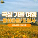 선돌이네 이미지