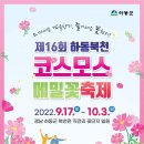 하동북천 코스모스 메밀꽃 축제 이미지