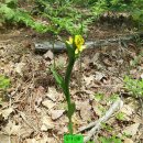 길성경로당 | 진주 만수산(萬壽山) 보잠산(寶岑山) 작당산(鵲當山)