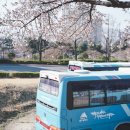 시청별관앞 꽃보라동산 이미지