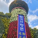 예산시장 | 충남 예산가볼만한곳 예산시장 삼국축제 후기