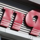 무릉도원면-50 이미지