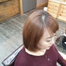 바스코헤어 이미지