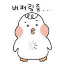 투어메이트 이미지