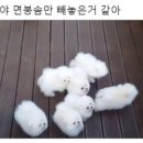 스타벅스 안성공도DT점 이미지