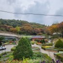 한림꽃농원 이미지