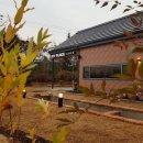 (주)아이아라 이미지