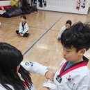 한국체대 탑 태권도장 이미지