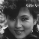 쥬단학 하이베스톤 첫광고(1975) 이미지