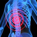 수성 메트로 동물병원 이미지