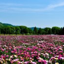 황강생태공원2 이미지