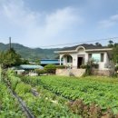 유태농장 이미지