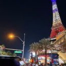 호텔1 | 라스베가스 가성비 스트립 숙소 플라밍고 호텔 1박 업그레이드 후기