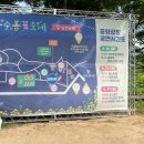 한솔정 | 화순 봄꽃축제 남산공원 내돈내산 고인돌빵, 복숭아빵, 들순이국화빵, 탄광아이스크림 간식 후기
