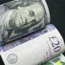 세탁천국 이미지