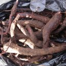 골때리네...... 이미지