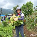 삼태산농촌체험휴양마을 이미지