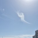 달빛펜션 Daum카페