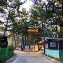 몽산포자동차야영장 | 태안 몽산포자동차야영장 캠핑장 후기