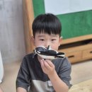 🐳정진반🐳고래 스퀴시를 만들어요&amp;메타국어-원인과 결과를 알아요 이미지